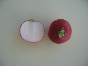 radis-4