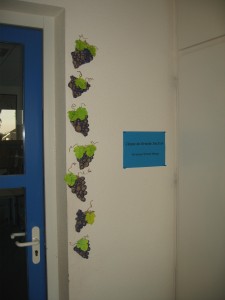 notre vigne