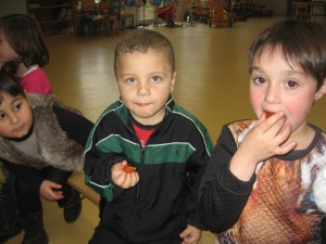 tomate
