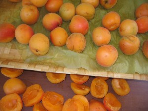 img_2784