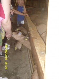 st833504
