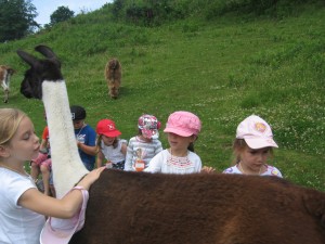 img_28521