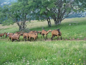 img_28611