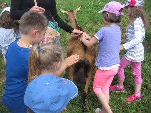 img_28681