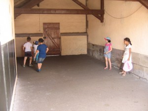 img_28751