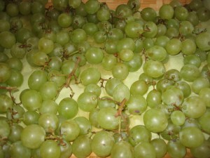 img_29401