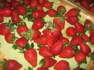 IMG_0387[1]