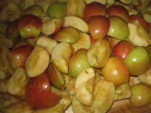 IMG_0424[1]