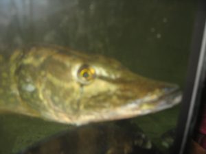 IMG_0504