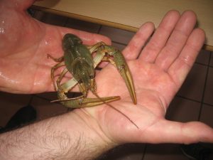 IMG_0509