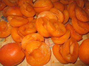 IMG_0539[1]