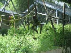 IMG_0550[1]