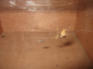img_06481